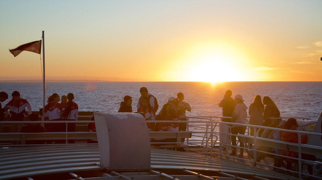 Sealink Ferry Terminal showing general coastal views and a sunset as well as a small group of people