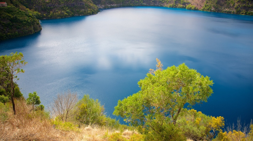 Blue Lake Reserve แสดง ทะเลสาบหรือแอ่งน้ำ