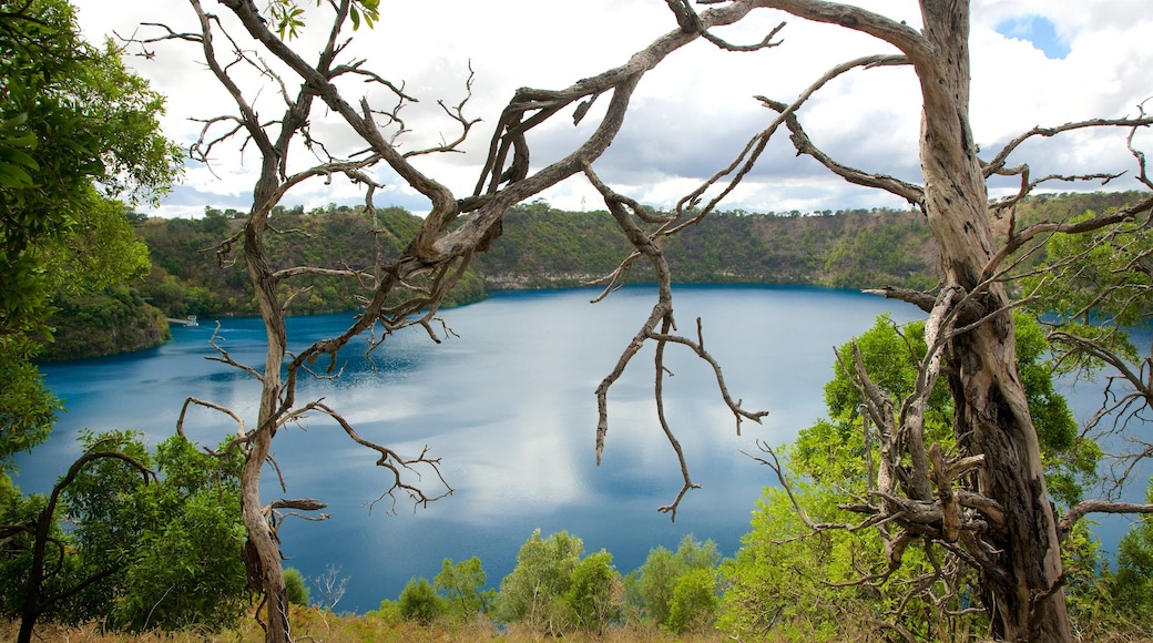 Blue Lake Reserve เนื้อเรื่องที่ ทะเลสาบหรือแอ่งน้ำ