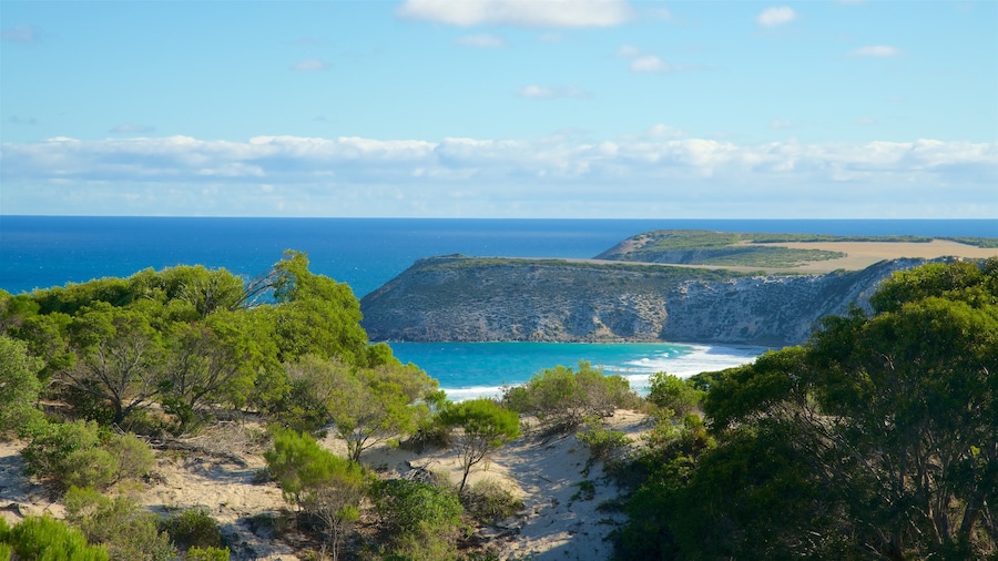 Isla Canguro ofreciendo vista general a la costa y costa escarpada