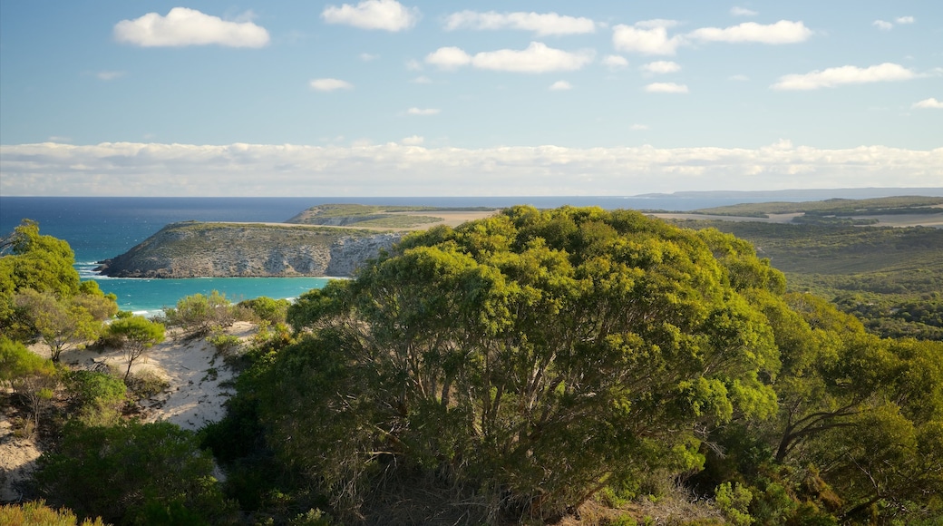 Isola dei canguri che include paesaggi rilassanti, vista della costa e costa rocciosa