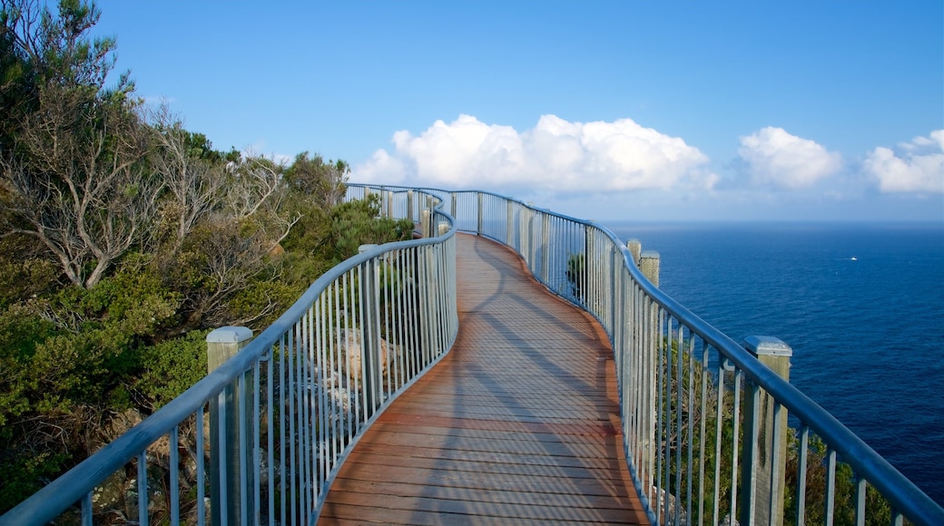 Coles Bay which includes a bridge and general coastal views