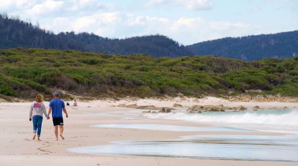 Coles Bay qui includes plage de sable et vues littorales aussi bien que couple