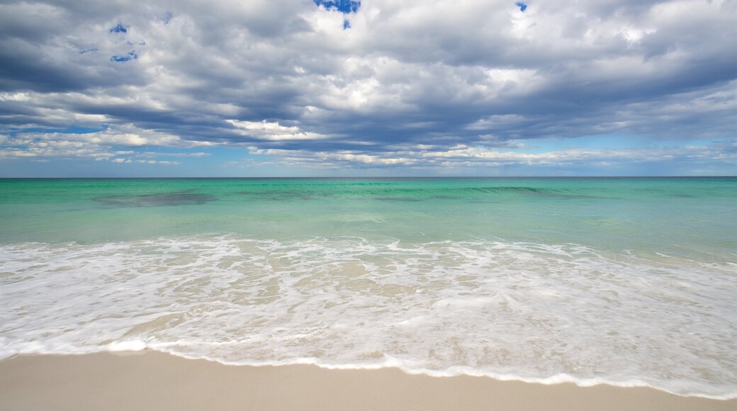 Coles Bay montrant plage de sable et vues littorales