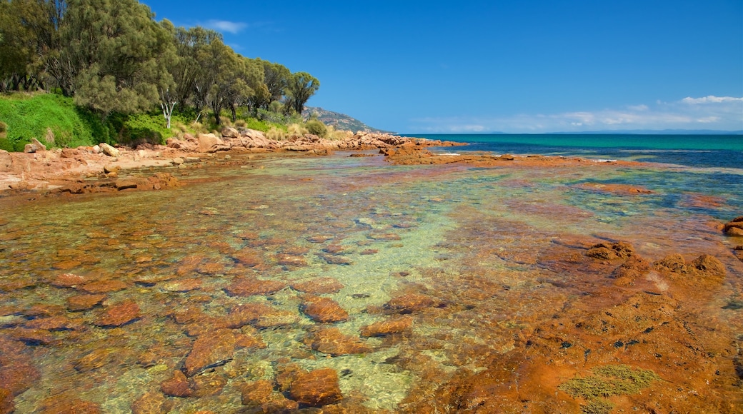 Coles Bay showing general coastal views and rocky coastline