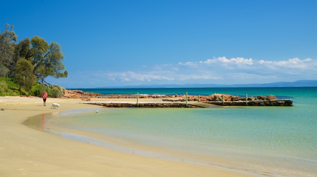 Plage de Muirs Beach