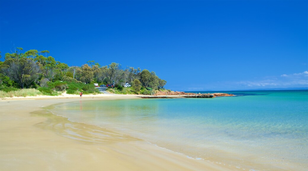 Coles Bay which includes tropical scenes and a sandy beach