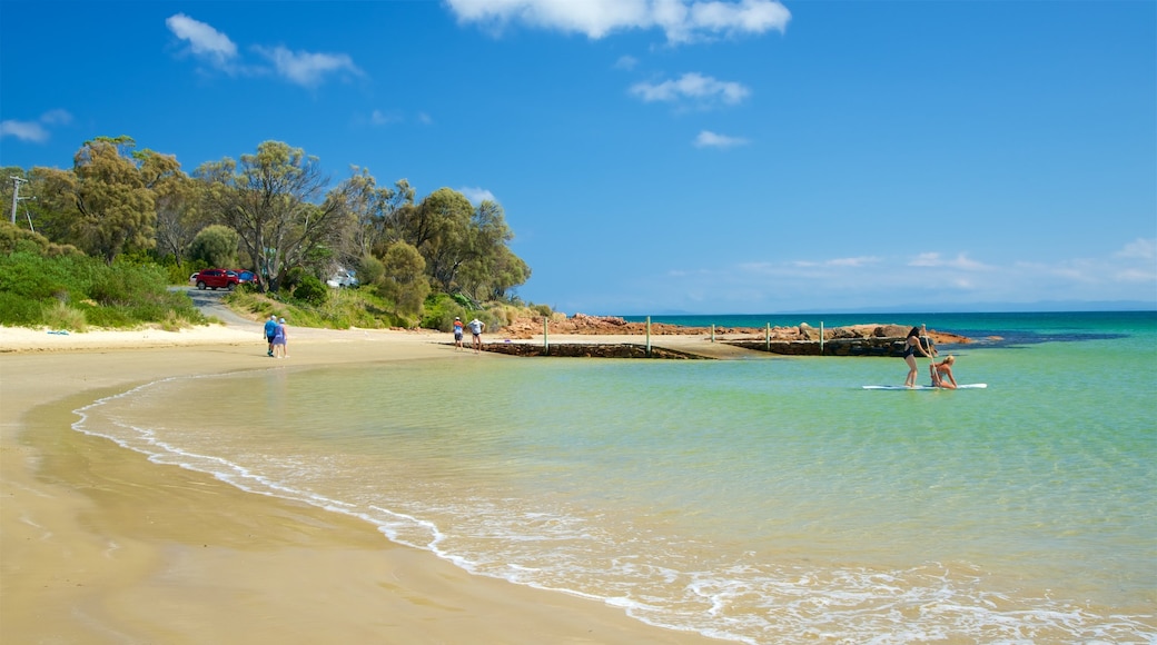 Plage de Muirs Beach