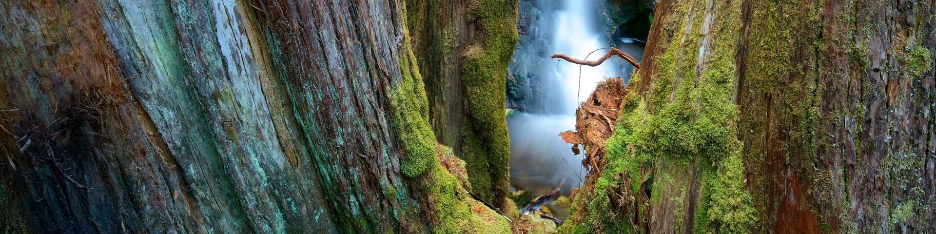 Cradle Mountain