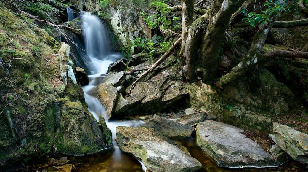 Cradle Mountain mostrando cascata e fiume o ruscello