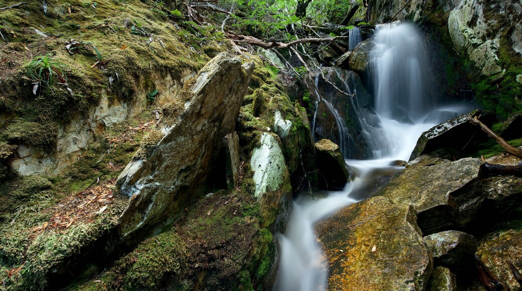 Cradle Mountain che include cascata