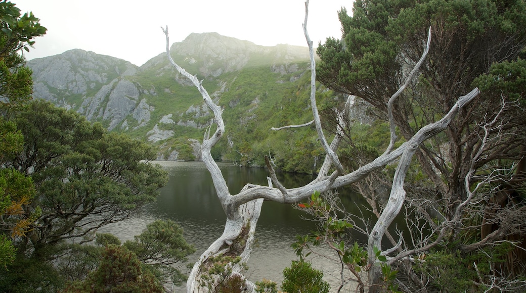 Cradle Mountain featuring mountains, a lake or waterhole and tranquil scenes