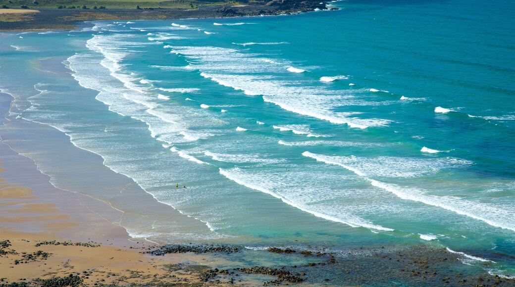 Perkins Bay showing general coastal views and landscape views