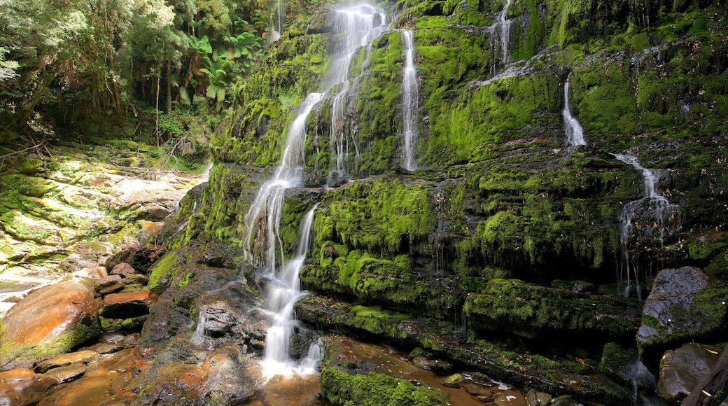 Queenstown toont regenwoud en een waterval