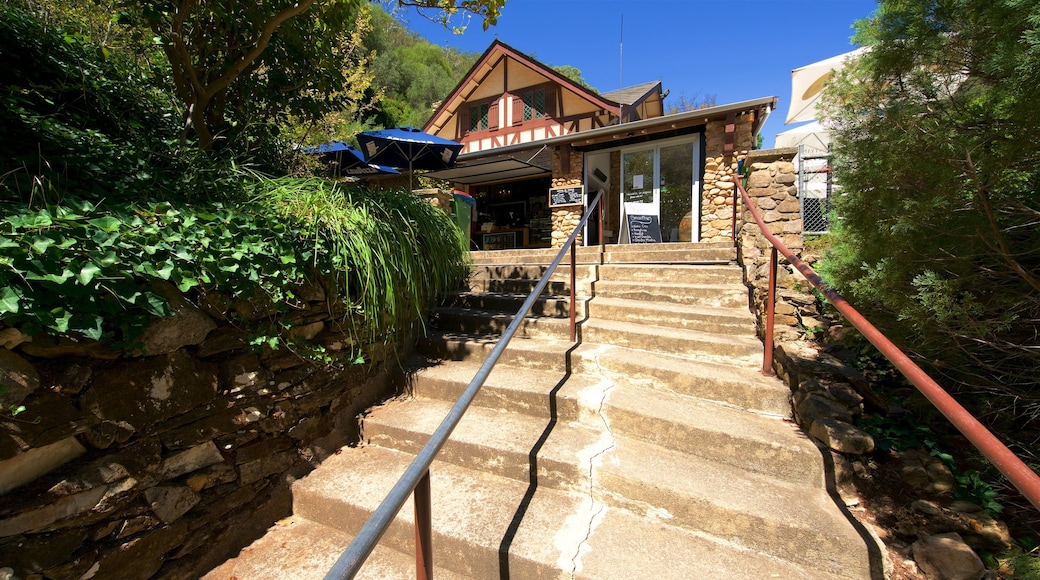 Waterfall Gully presenterar caféer