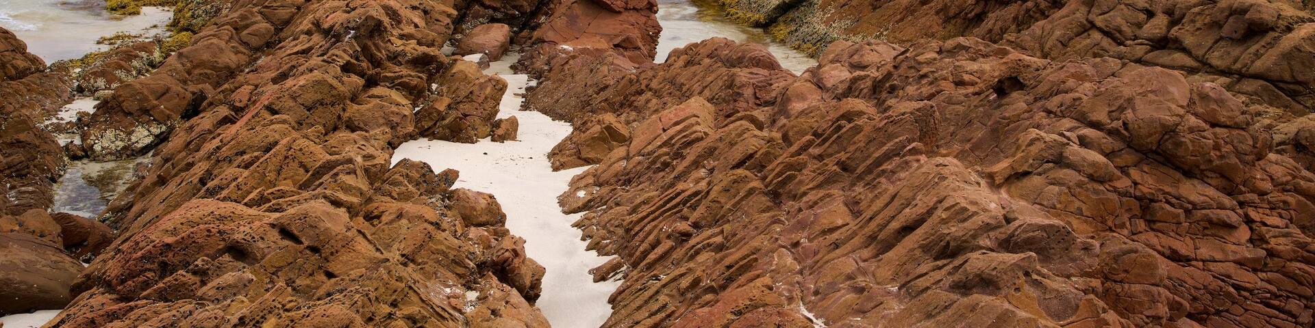 Kangaroo Island mit einem Bucht oder Hafen und FelskĂŒste
