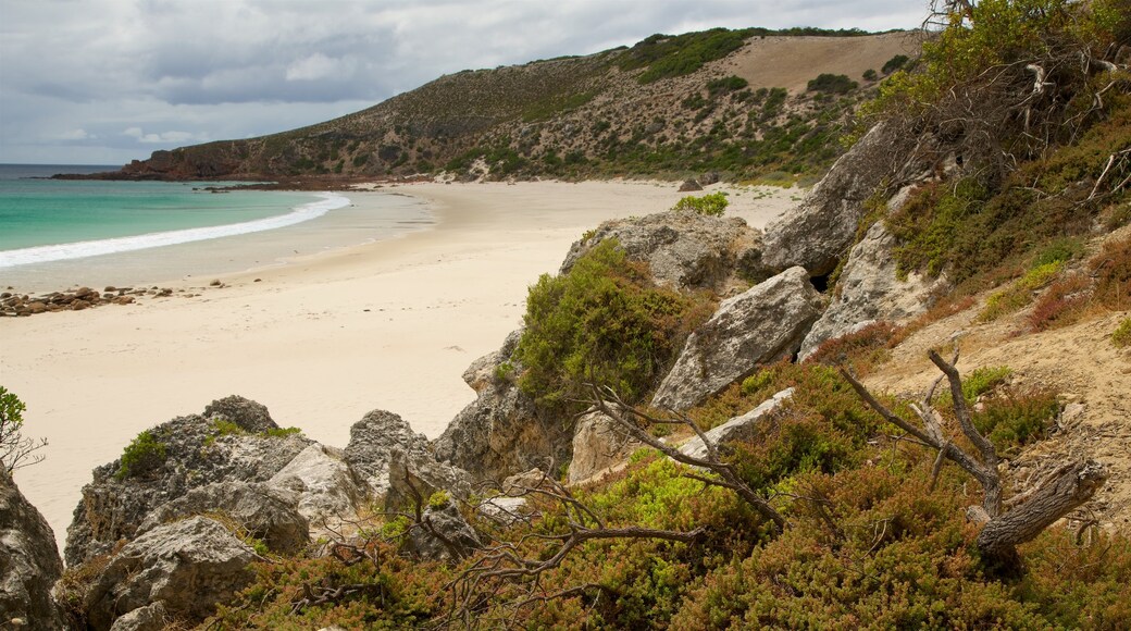 Kangaroo Island