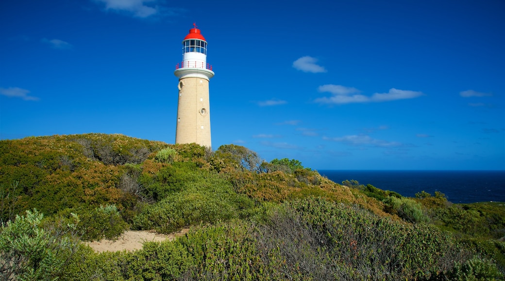 Mercusuar Cape du Couedic