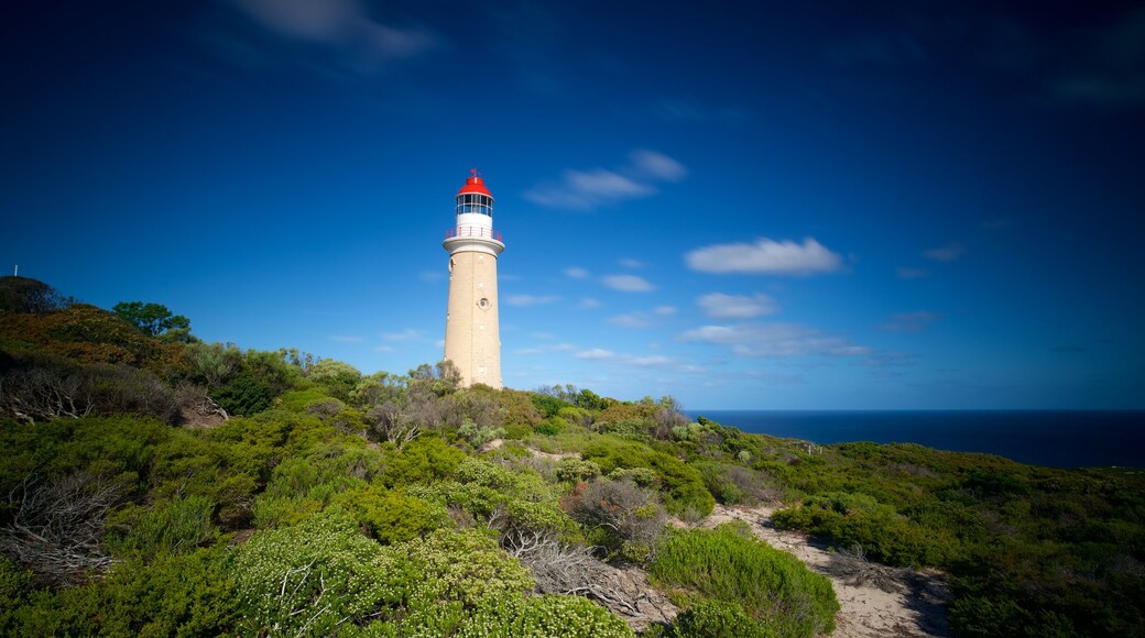 Mercusuar Cape du Couedic