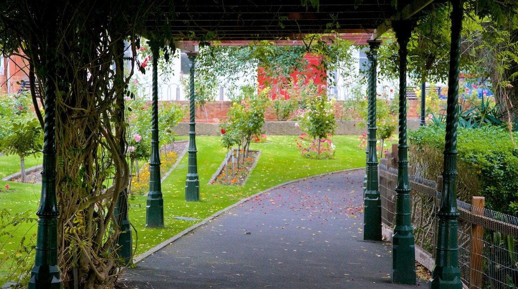 Mount Gambier mit einem Garten und Blumen