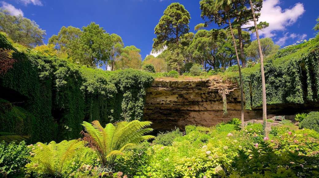 Mount Gambier showing a park