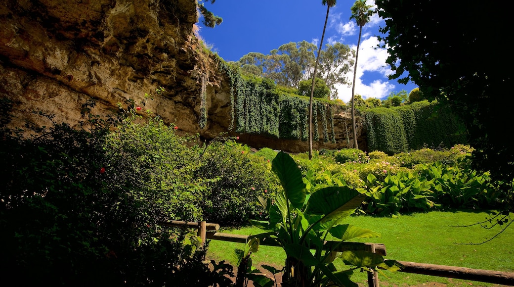 Mount Gambier showing a garden and a gorge or canyon