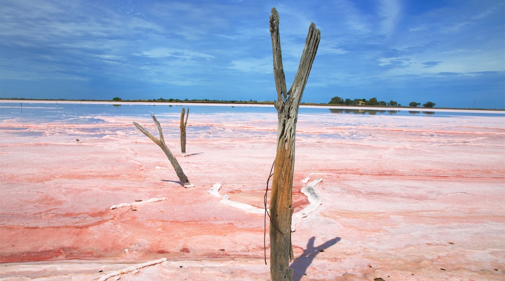 Tailem Bend toont een rivier of beek