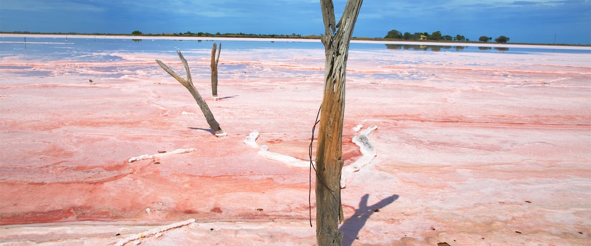 Tailem Bend trong đó bao gồm sông lạch