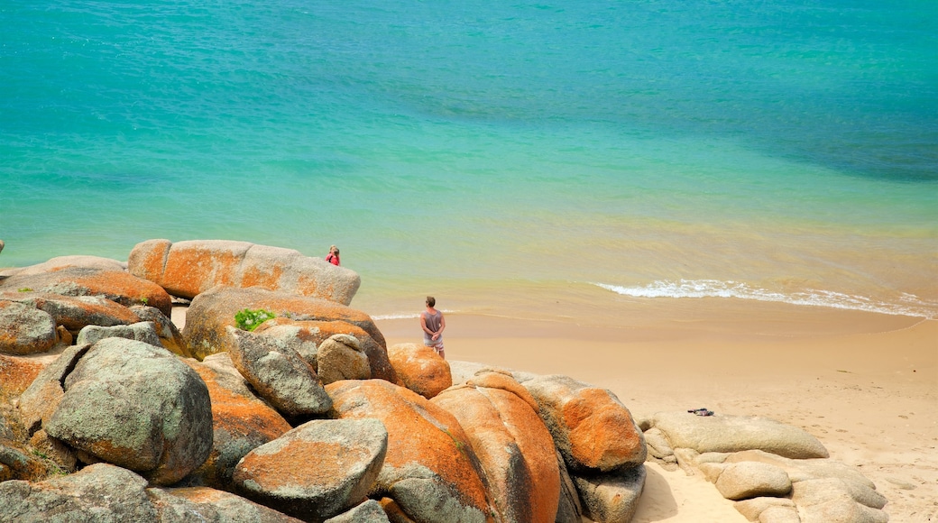 Limestone Coast/Fleurieu Peninsula mit einem Strand und schroffe Küste sowie Paar
