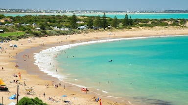 Port Elliot caratteristiche di spiaggia sabbiosa, vista della costa e nuoto