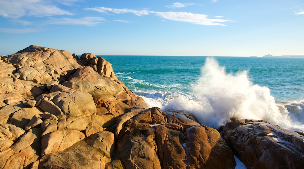 Port Elliot showing rocky coastline and surf