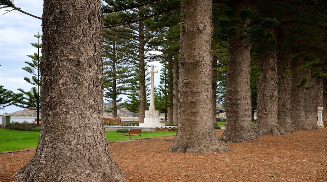 Soldier Memorial Gardens showing a garden and general coastal views