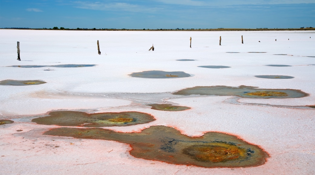 Tailem Bend mostrando un río o arroyo