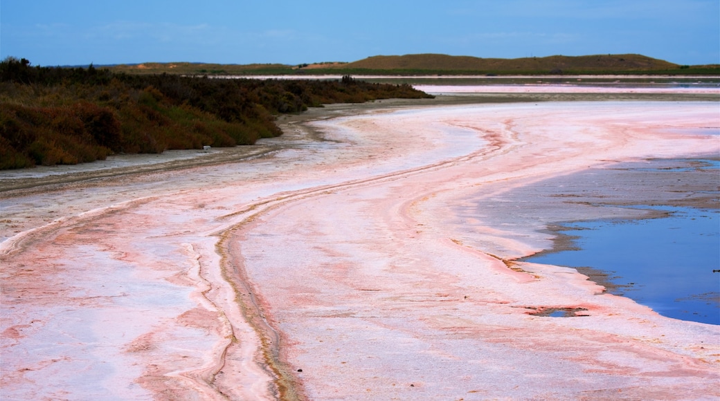 Tailem Bend che include paesaggi rilassanti e fiume o ruscello