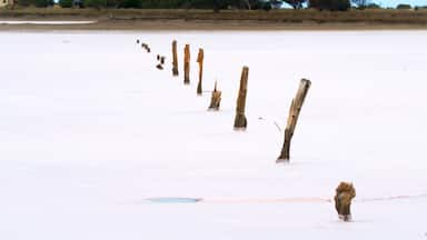 Tailem Bend das einen Fluss oder Bach