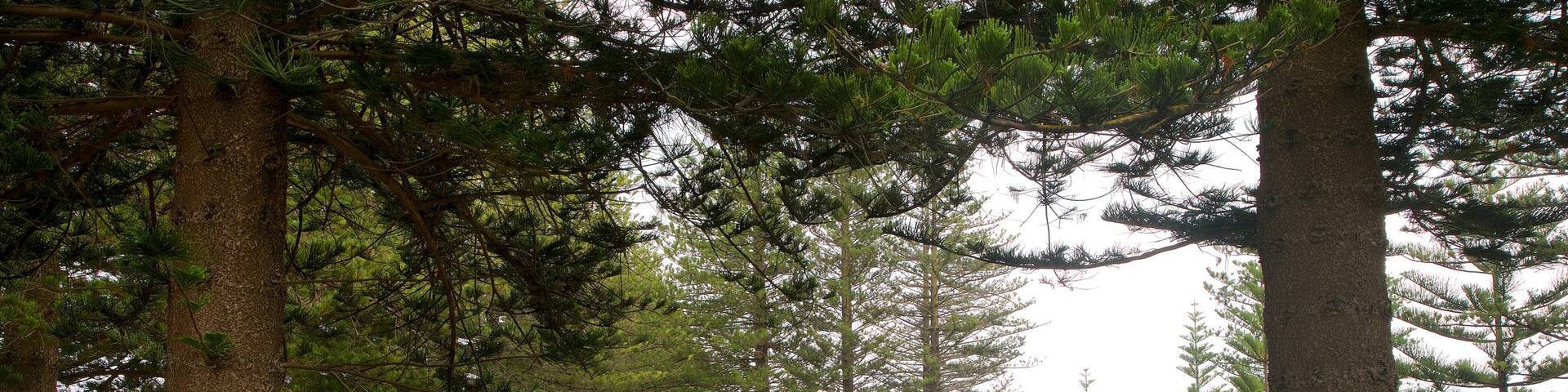 Soldier Memorial Gardens