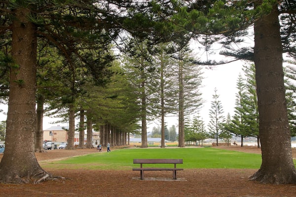 Soldier Memorial Gardens
