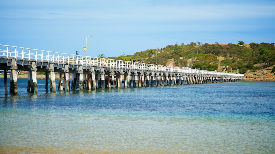 Fleurieu Peninsula featuring general coastal views and a bridge