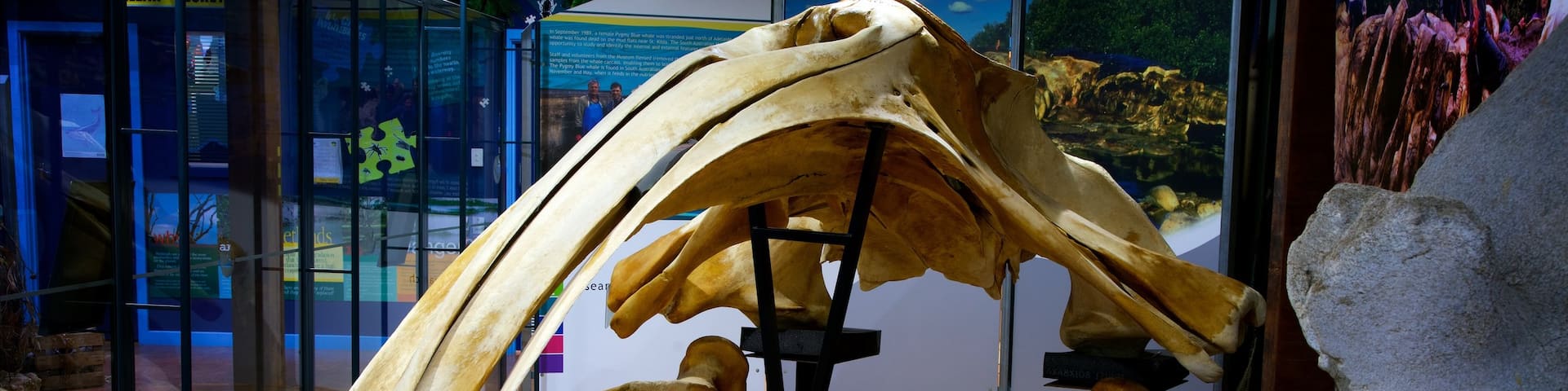 Victor Harbor welches beinhaltet Innenansichten