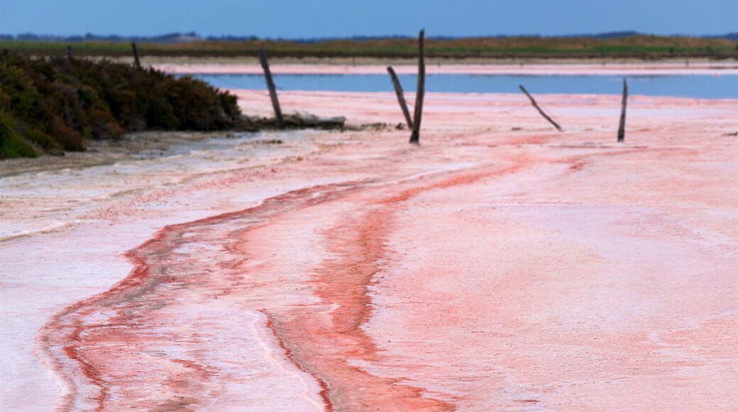 Tailem Bend mostrando un lago o laguna