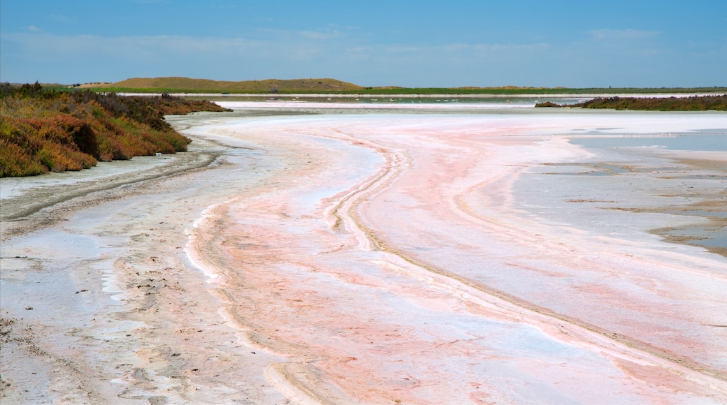 Tailem Bend som viser rolig landskap og innsjø