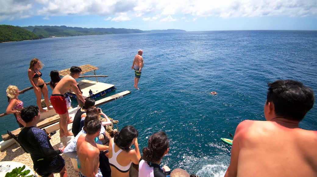 Ariels Point showing views, swimming and general coastal views