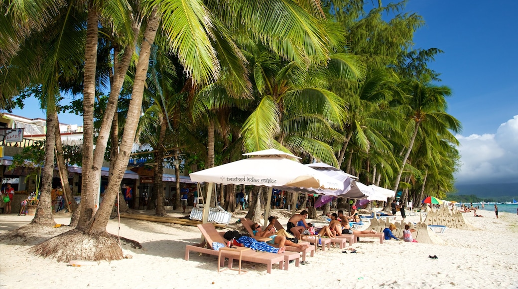 Aklan featuring tropical scenes and a sandy beach as well as a small group of people