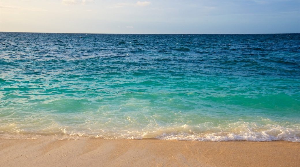 Puka Beach showing surf and a sandy beach