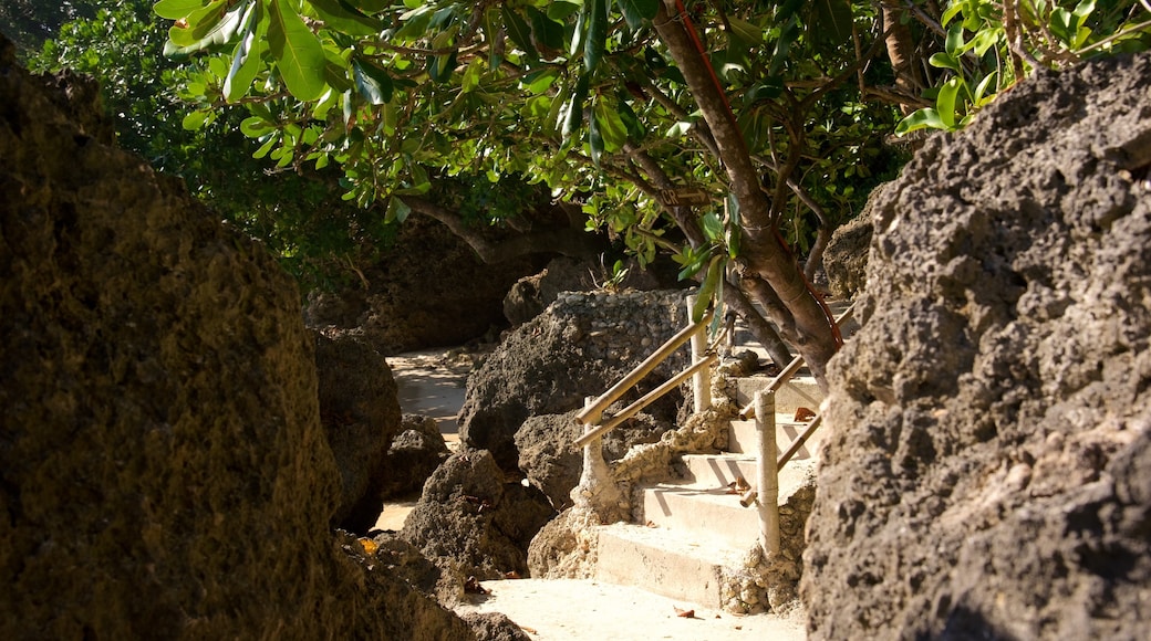 Balinghai Beach showing a sandy beach and tropical scenes