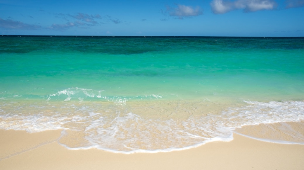 Ilig-Iligan Beach mit einem Sandstrand und tropische Szenerien