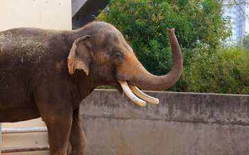 休斯頓動物園22 休斯敦景點必遊攻略 Eexpedia Com Hk 休斯頓動物園22 休斯敦景點必遊攻略 Eexpedia Com Hk