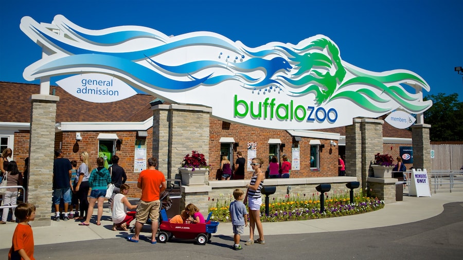 Buffalo Zoo caratteristiche di segnaletica e animali da zoo cosi come famiglia