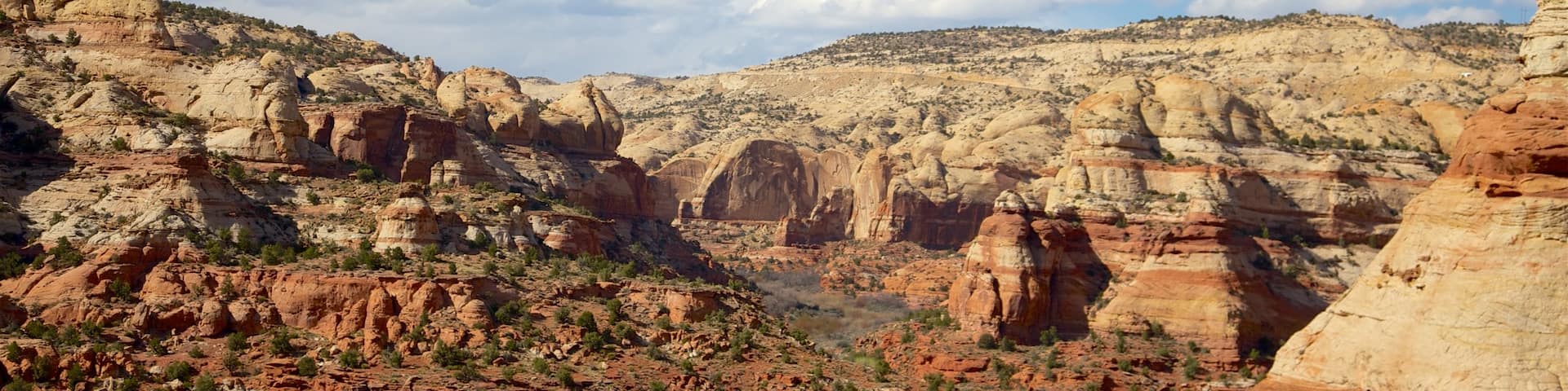 Great Basin showing desert views and a gorge or canyon