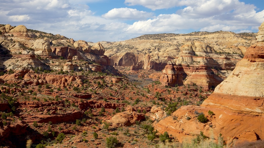 Great Basin showing desert views and a gorge or canyon